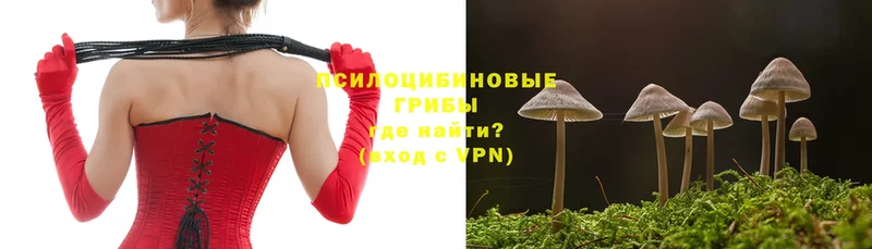 Галлюциногенные грибы MAGIC MUSHROOMS  купить наркотики цена  мега tor  Аксай 