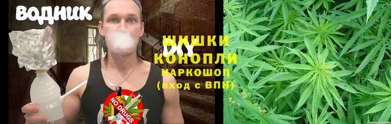 цена   Аксай  Канабис Ganja 